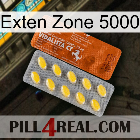 Exten Zone 5000 42.jpg